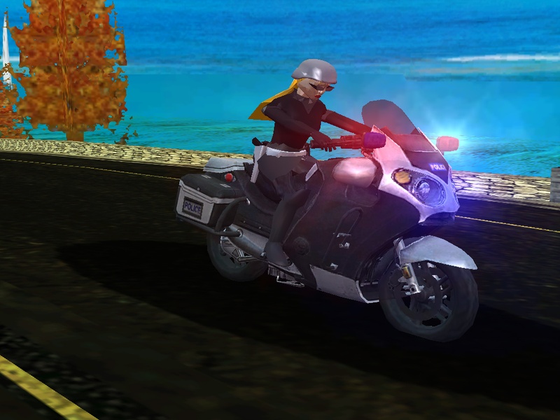 Cop bike
