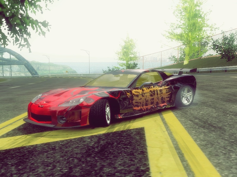 Corvette C6-R (from carbon) on action